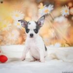 DSC_2720.jpg1752029489