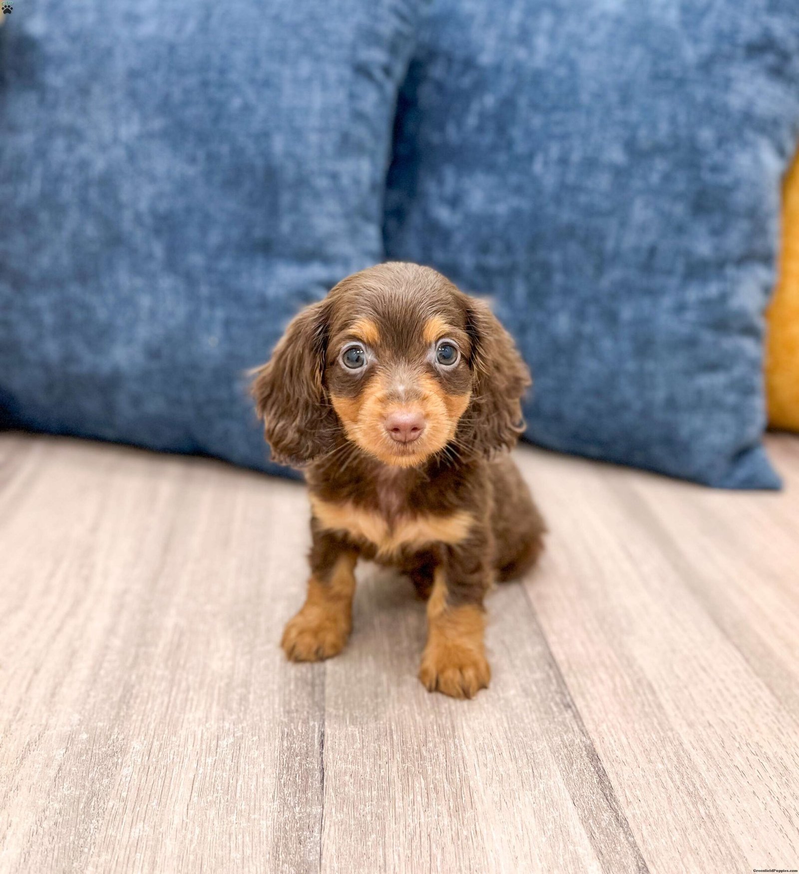 IMG_1395_jpg.JPG1752088943