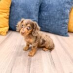 IMG_1455_jpg.jpg1752089000