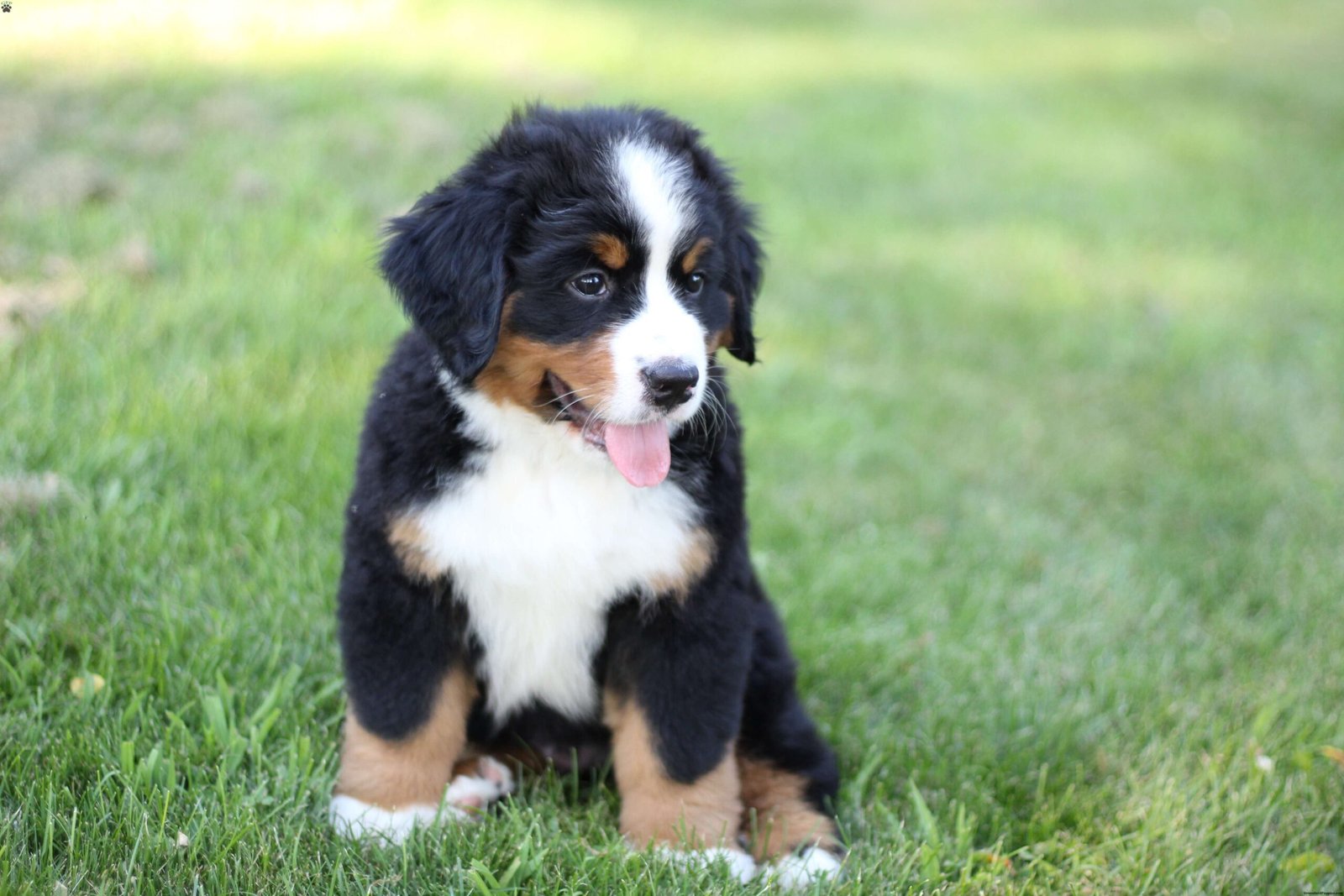 IMG_8629.JPG1752697841