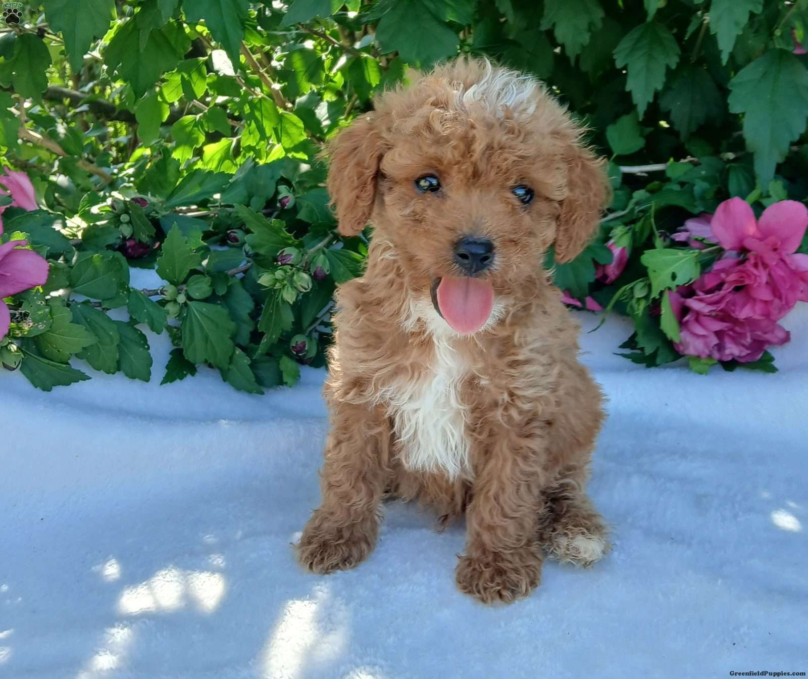 20250715_161435.jpg1752695496-1600x1344 (1)